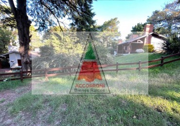 LOTE MENDOZA 