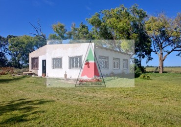 Chacra de 11 Hectareas en Paraje Salomon